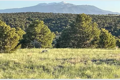 87 Comanche Dr, Walsenburg, CO 81089 - Photo 13