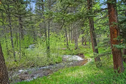 25 Cottonwood Tr., La Veta, CO 81055 - Photo 15