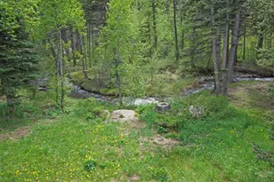 25 Cottonwood Trail, La Veta, CO 81055 - Photo 5