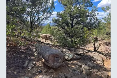 96 River Ridge Rd, Walsenburg, CO 81089 - Photo 15