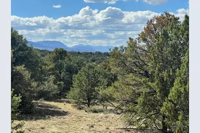 96 River Ridge Rd, Walsenburg, CO 81089 - Photo 13