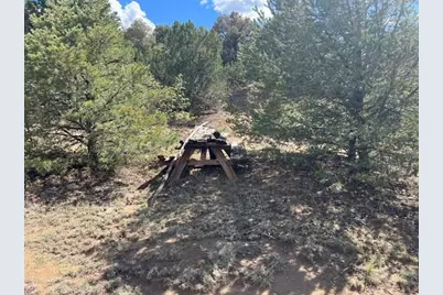 96 River Ridge Rd, Walsenburg, CO 81089 - Photo 19