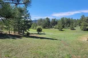 451 Thunder Trail, Canon City, CO 81212 - Photo 45