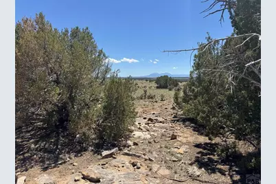 169 Tyrone Hills, Walsenburg, CO 81089 - Photo 7
