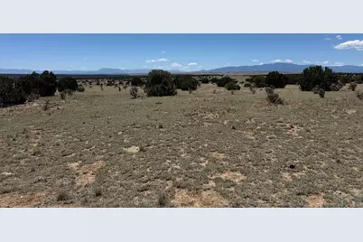 169 Tyrone Hills, Walsenburg, CO 81089 - Photo 11