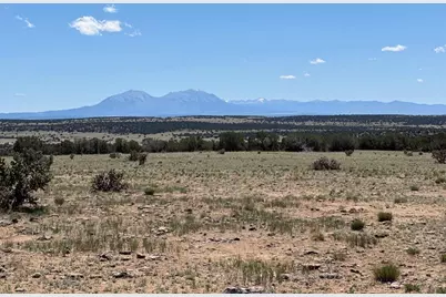 169 Tyrone Hills, Walsenburg, CO 81089 - Photo 1