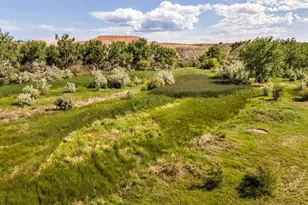 531 Co Rd 119, Florence, CO 81226 - Photo 27