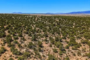 801 Turkey Ridge Rd, Walsenburg, CO 81089 - Photo 53
