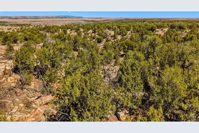 801 Turkey Ridge Rd, Walsenburg, CO 81089 - Photo 61