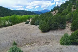 24357 Co Rd 54 2, Aguilar, CO 81020 - Photo 49