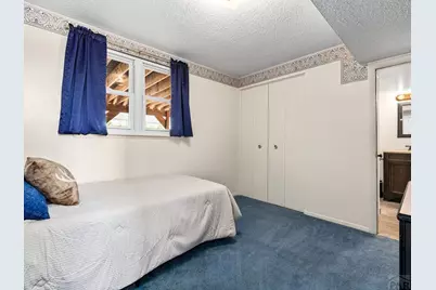 29 Dick Trefz St, Pueblo, CO 81001 - Photo 21