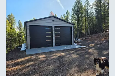 87 Bonanza Circle, Florissant, CO 80816 - Photo 23