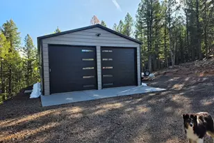87 Bonanza Cir, Florissant, CO 80816 - Photo 21