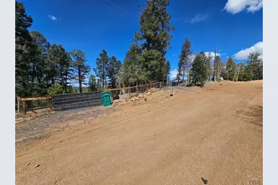 87 Bonanza Circle, Florissant, CO 80816 - Photo 19