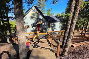 87 Bonanza Cir, Florissant, CO 80816 - Photo 1