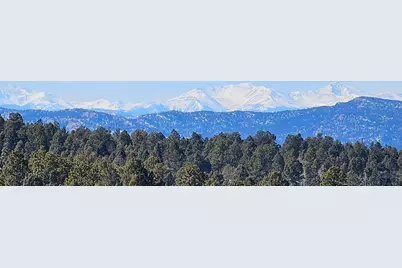 87 Bonanza Circle, Florissant, CO 80816 - Photo 29