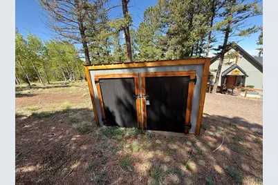 87 Bonanza Circle, Florissant, CO 80816 - Photo 21