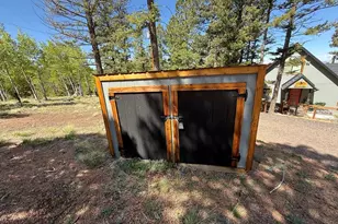 87 Bonanza Cir, Florissant, CO 80816 - Photo 19