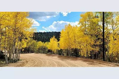 87 Bonanza Circle, Florissant, CO 80816 - Photo 31