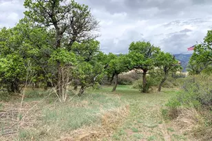 4920 W County Rd 650, Rye, CO 81069 - Photo 35