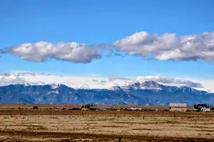 23315 Bunny View, Calahan, CO 80808 - Photo 39