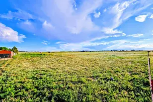 23315 Bunny View, Calahan, CO 80808 - Photo 35