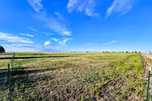 23315 Bunny View, Calahan, CO 80808 - Photo 33