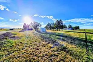 23315 Bunny View, Calahan, CO 80808 - Photo 29