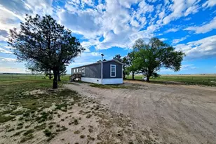23315 Bunny View, Calahan, CO 80808 - Photo 21