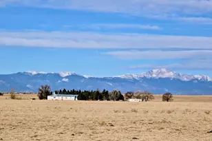 23315 Bunny View, Calahan, CO 80808 - Photo 41
