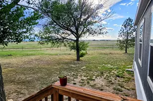 23315 Bunny View, Calahan, CO 80808 - Photo 19