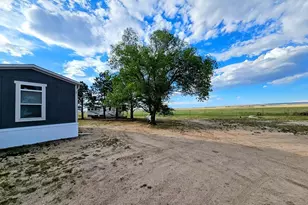 23315 Bunny View, Calahan, CO 80808 - Photo 23