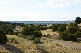 7791 Pine Bluff Dr, Pueblo, CO 81004 - Photo 51