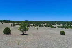 22750 Co Rd 46, Aguilar, CO 81020 - Photo 55