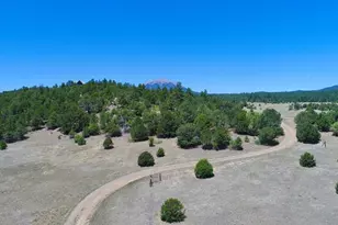 22750 Co Rd 46, Aguilar, CO 81020 - Photo 61