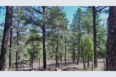 22750 County Rd 46, Aguilar, CO 81020 - Photo 53