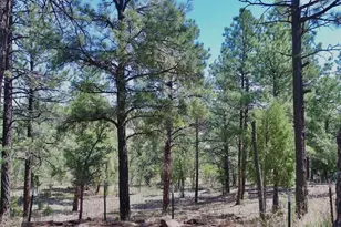 22750 Co Rd 46, Aguilar, CO 81020 - Photo 53
