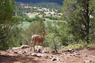 22750 Co Rd 46, Aguilar, CO 81020 - Photo 51
