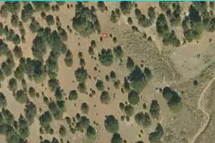 1811 Co Rd 260, Westcliffe, CO 81252 - Photo 37