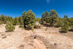 1811 Co Rd 260, Westcliffe, CO 81252 - Photo 21