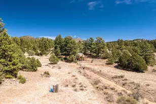 1811 Co Rd 260, Westcliffe, CO 81252 - Photo 23
