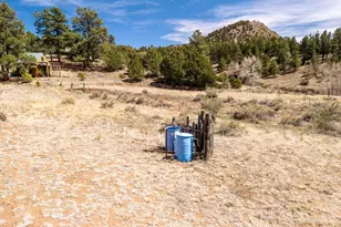 1811 Co Rd 260, Westcliffe, CO 81252 - Photo 33