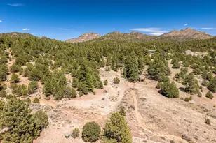 1811 Co Rd 260, Westcliffe, CO 81252 - Photo 25