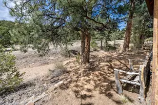 1811 Co Rd 260, Westcliffe, CO 81252 - Photo 17