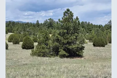 Tbd County Road 15, Florence, CO 81226 - Photo 11