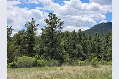 Tbd County Road 15, Florence, CO 81226 - Photo 13