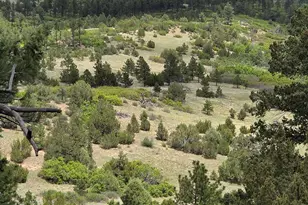 Tbd County Road 15, Florence, CO 81226 - Photo 1