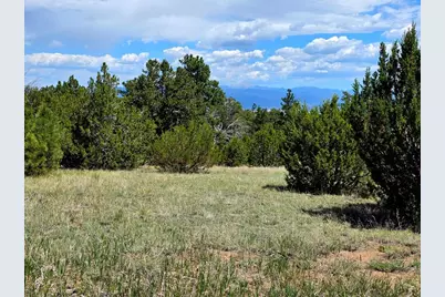 Tbd County Road 15, Florence, CO 81226 - Photo 5