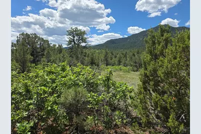 Tbd County Road 15, Florence, CO 81226 - Photo 15