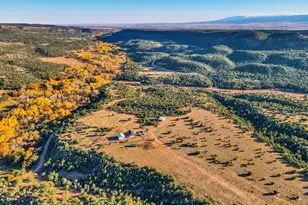 8200 Co Rd 132, Penrose, CO 81240 - Photo 45